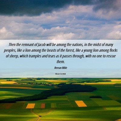 Picture 06 - Micah 5:8 BSB - Then the remnant of Jacob will be among the - Bible Verse Picture