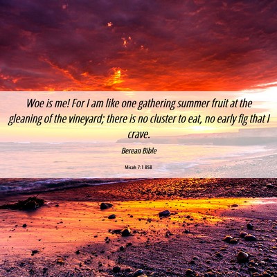 Picture 06 - Micah 7:1 BSB - Woe is me! For I am like one gathering summer - Bible Verse Picture