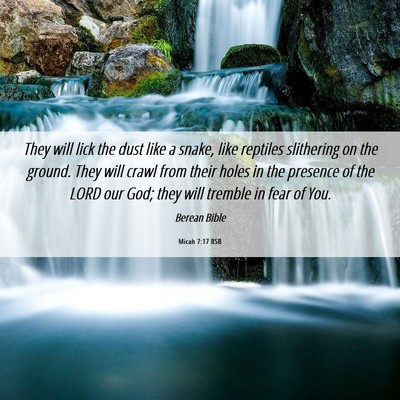 Picture 06 - Micah 7:17 BSB - They will lick the dust like a snake, like - Bible Verse Picture