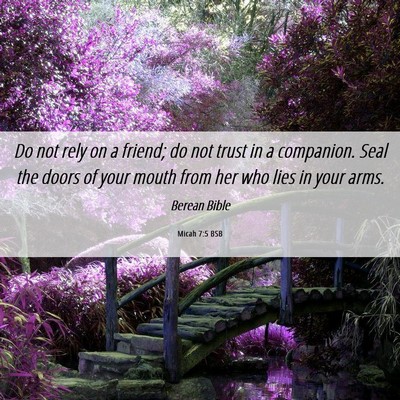 Picture 06 - Micah 7:5 BSB - Do not rely on a friend; do not trust in a - Bible Verse Picture