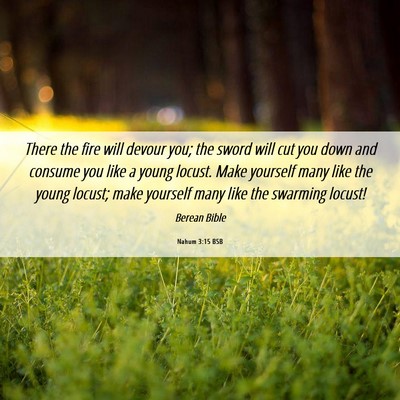 Picture 06 - Nahum 3:15 BSB - There the fire will devour you; the sword will - Bible Verse Picture