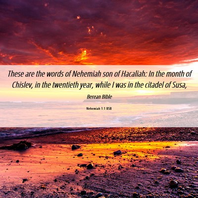 Picture 06 - Nehemiah 1:1 BSB - These are the words of Nehemiah son of Hacaliah: - Bible Verse Picture