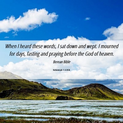 Picture 06 - Nehemiah 1:4 BSB - When I heard these words, I sat down and wept. I - Bible Verse Picture