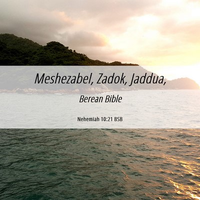 Picture 06 - Nehemiah 10:21 BSB - Meshezabel, Zadok, - Bible Verse Picture