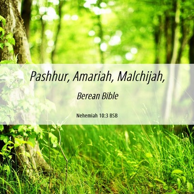Picture 06 - Nehemiah 10:3 BSB - Pashhur, Amariah, - Bible Verse Picture