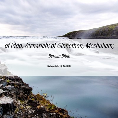 Picture 06 - Nehemiah 12:16 BSB - of Iddo, Zechariah; of Ginnethon, - Bible Verse Picture
