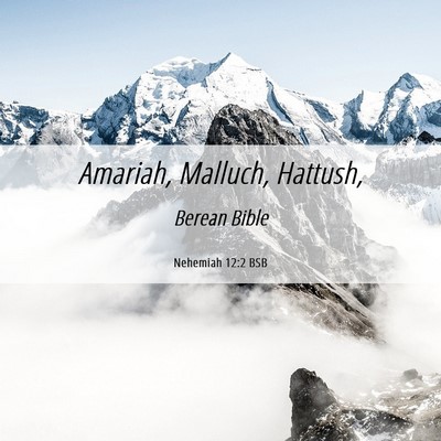 Picture 06 - Nehemiah 12:2 BSB - Amariah, Malluch, - Bible Verse Picture