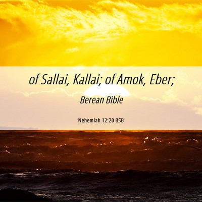 Picture 06 - Nehemiah 12:20 BSB - of Sallai, Kallai; of Amok, - Bible Verse Picture