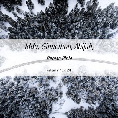 Picture 06 - Nehemiah 12:4 BSB - Iddo, Ginnethon, - Bible Verse Picture
