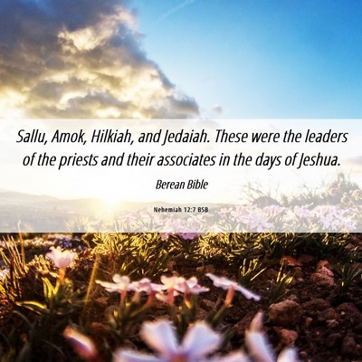 Picture 06 - Nehemiah 12:7 BSB - Sallu, Amok, Hilkiah, and Jedaiah. These were the - Bible Verse Picture