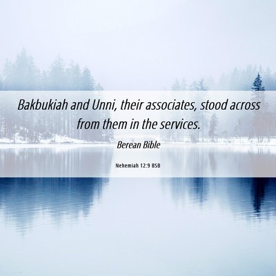 Picture 06 - Nehemiah 12:9 BSB - Bakbukiah and Unni, their associates, stood - Bible Verse Picture