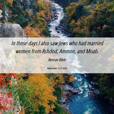 Picture 06 - Nehemiah 13:23 BSB - In those days I also saw Jews who had married - Bible Verse Picture