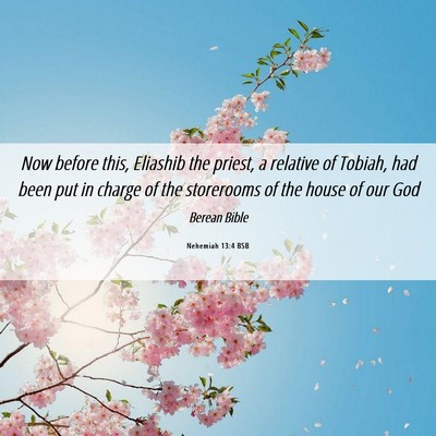 Picture 06 - Nehemiah 13:4 BSB - Now before this, Eliashib the priest, a relative - Bible Verse Picture