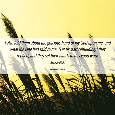 Picture 06 - Nehemiah 2:18 BSB - I also told them about the gracious hand of my - Bible Verse Picture