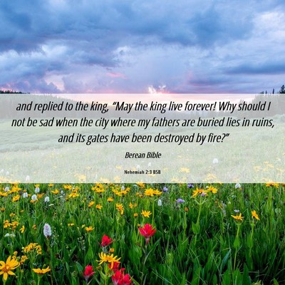 Picture 06 - Nehemiah 2:3 BSB - and replied to the king, “May the king live - Bible Verse Picture