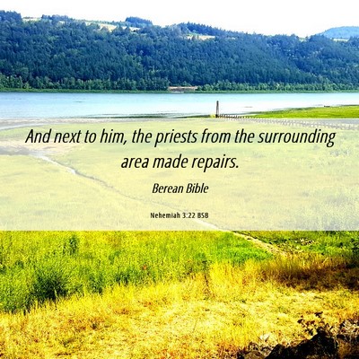 Picture 06 - Nehemiah 3:22 BSB - And next to him, the priests from the surrounding - Bible Verse Picture