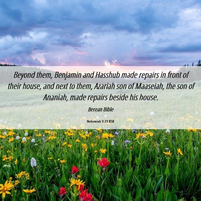 Picture 06 - Nehemiah 3:23 BSB - Beyond them, Benjamin and Hasshub made repairs in - Bible Verse Picture