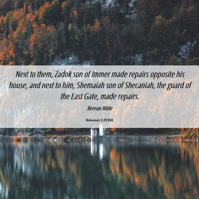 Picture 06 - Nehemiah 3:29 BSB - Next to them, Zadok son of Immer made repairs - Bible Verse Picture