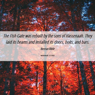 Picture 06 - Nehemiah 3:3 BSB - The Fish Gate was rebuilt by the sons of - Bible Verse Picture