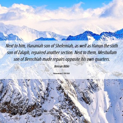 Picture 06 - Nehemiah 3:30 BSB - Next to him, Hananiah son of Shelemiah, as well - Bible Verse Picture