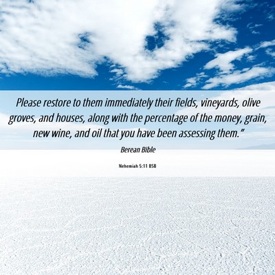 Picture 06 - Nehemiah 5:11 BSB - Please restore to them immediately their fields, - Bible Verse Picture