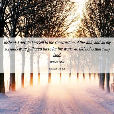 Picture 06 - Nehemiah 5:16 BSB - Instead, I devoted myself to the construction of - Bible Verse Picture