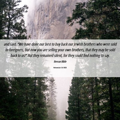 Picture 06 - Nehemiah 5:8 BSB - and said, “We have done our best to buy back - Bible Verse Picture