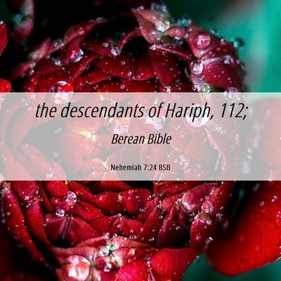 Picture 06 - Nehemiah 7:24 BSB - the descendants of Hariph, - Bible Verse Picture