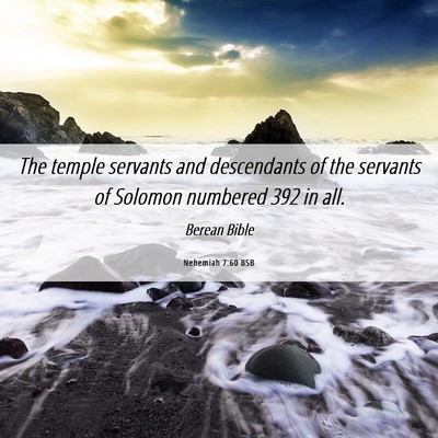 Picture 06 - Nehemiah 7:60 BSB - The temple servants and descendants of the - Bible Verse Picture