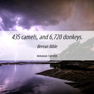 Picture 06 - Nehemiah 7:69 BSB - 435 camels, and 6,720 - Bible Verse Picture