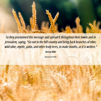 Picture 06 - Nehemiah 8:15 BSB - So they proclaimed this message and spread it - Bible Verse Picture