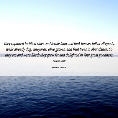 Picture 06 - Nehemiah 9:25 BSB - They captured fortified cities and fertile land - Bible Verse Picture