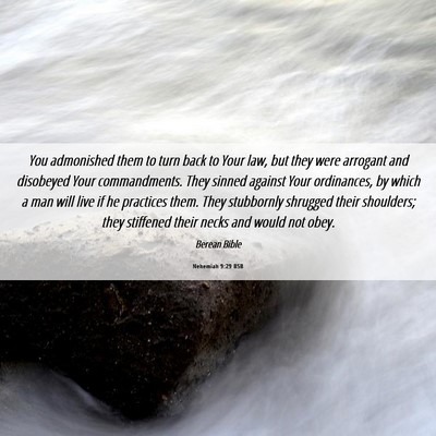 Picture 06 - Nehemiah 9:29 BSB - You admonished them to turn back to Your law, but - Bible Verse Picture