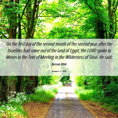 Picture 06 - Numbers 1:1 BSB - On the first day of the second month of the - Bible Verse Picture