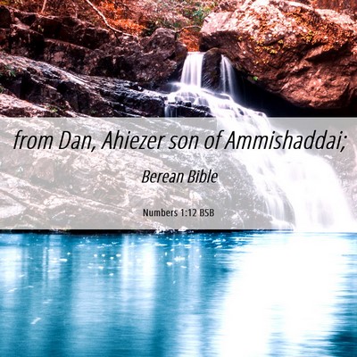 Picture 06 - Numbers 1:12 BSB - from Dan, Ahiezer son of - Bible Verse Picture