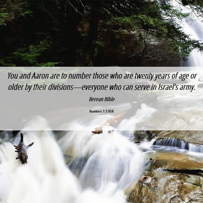 Picture 06 - Numbers 1:3 BSB - You and Aaron are to number those who are twenty - Bible Verse Picture