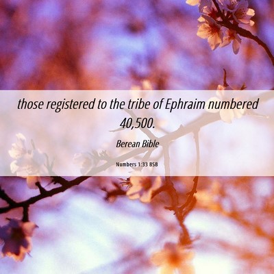 Picture 06 - Numbers 1:33 BSB - those registered to the tribe of Ephraim numbered - Bible Verse Picture