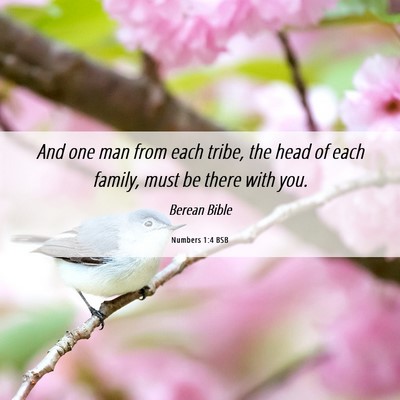Picture 06 - Numbers 1:4 BSB - And one man from each tribe, the head of each - Bible Verse Picture