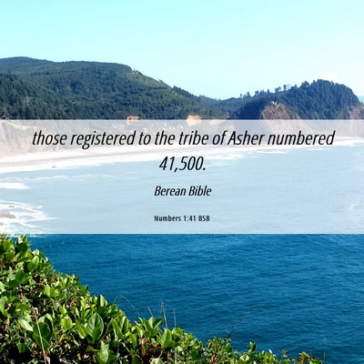 Picture 06 - Numbers 1:41 BSB - those registered to the tribe of Asher numbered - Bible Verse Picture