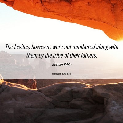 Picture 06 - Numbers 1:47 BSB - The Levites, however, were not numbered along - Bible Verse Picture
