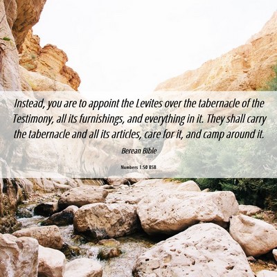 Picture 06 - Numbers 1:50 BSB - Instead, you are to appoint the Levites over the - Bible Verse Picture