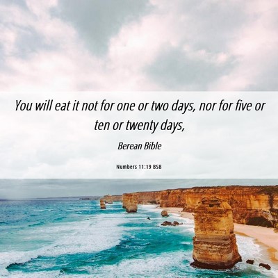 Picture 06 - Numbers 11:19 BSB - You will eat it not for one or two days, nor for - Bible Verse Picture