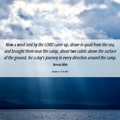 Picture 06 - Numbers 11:31 BSB - Now a wind sent by the LORD came up, drove in - Bible Verse Picture