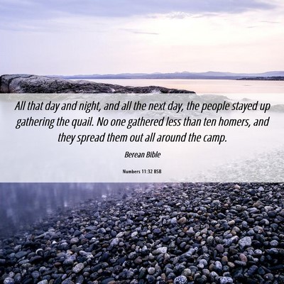 Picture 06 - Numbers 11:32 BSB - All that day and night, and all the next day, the - Bible Verse Picture