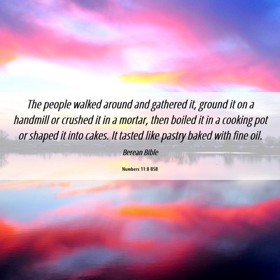 Picture 06 - Numbers 11:8 BSB - The people walked around and gathered it, ground - Bible Verse Picture
