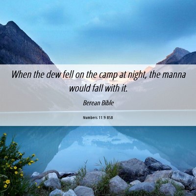 Picture 06 - Numbers 11:9 BSB - When the dew fell on the camp at night, the manna - Bible Verse Picture