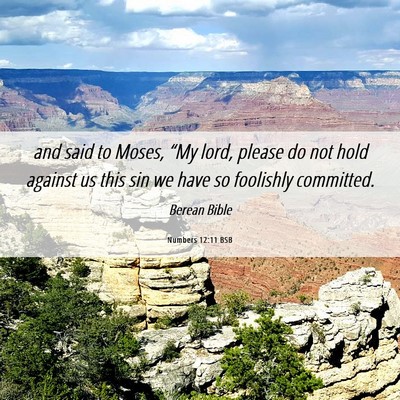 Picture 06 - Numbers 12:11 BSB - and said to Moses, “My lord, please do not hold - Bible Verse Picture