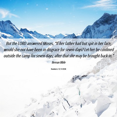 Picture 06 - Numbers 12:14 BSB - But the LORD answered Moses, “If her father had - Bible Verse Picture