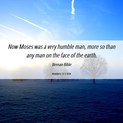 Picture 06 - Numbers 12:3 BSB - Now Moses was a very humble man, more so than any - Bible Verse Picture