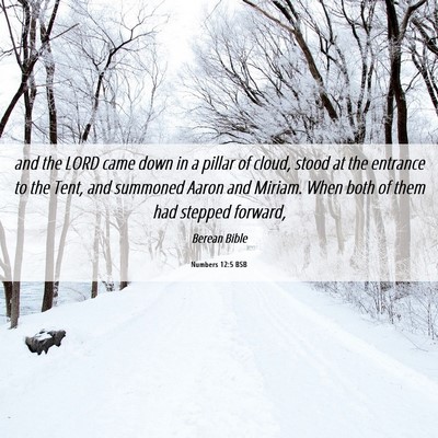Picture 06 - Numbers 12:5 BSB - and the LORD came down in a pillar of cloud, - Bible Verse Picture